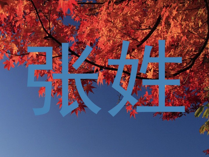 张姓