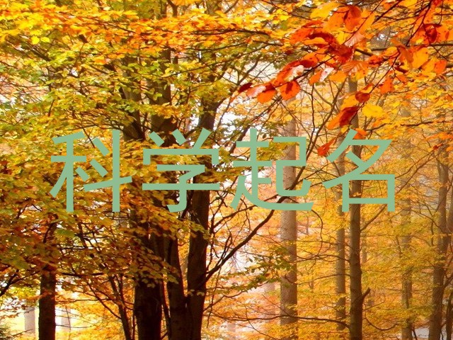 科学起名