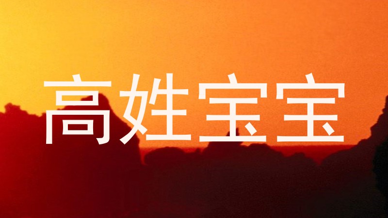 高姓宝宝