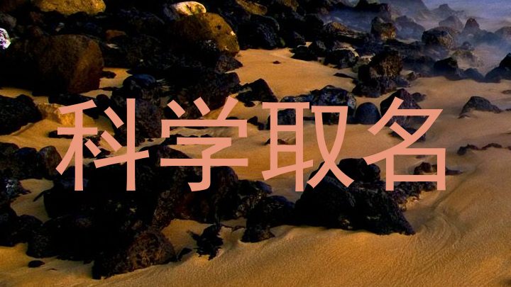 科学取名