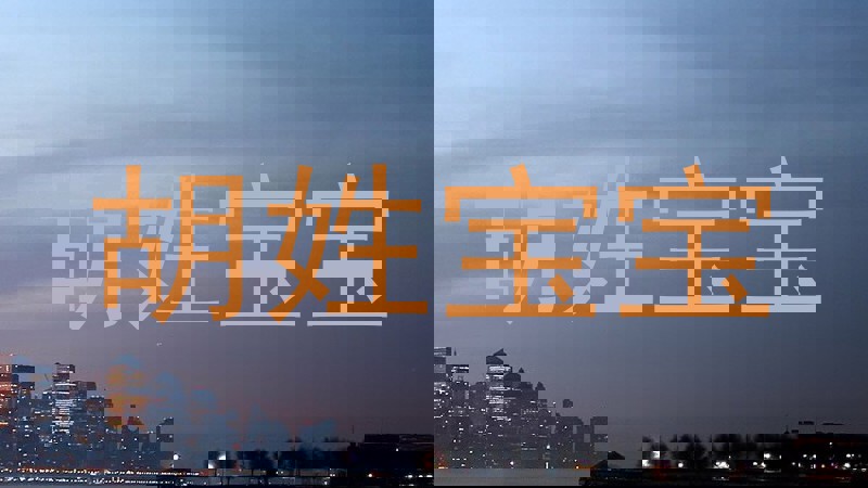 胡姓宝宝