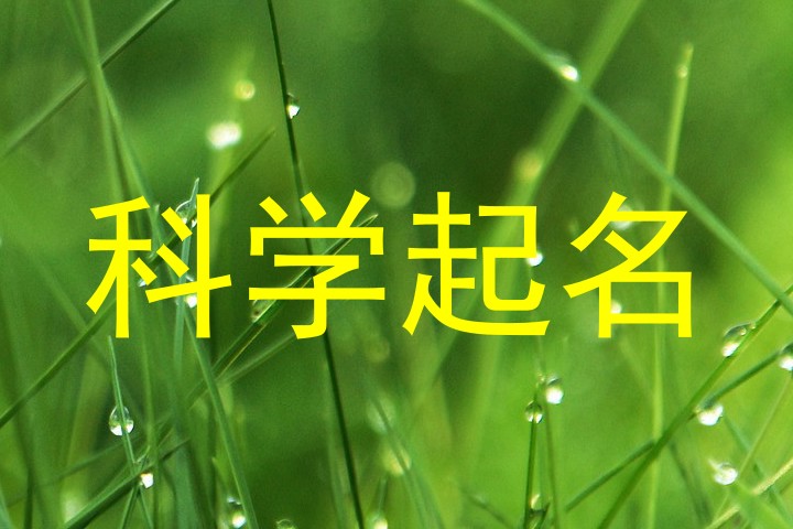 科学起名