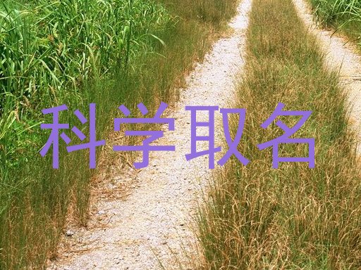 科学取名