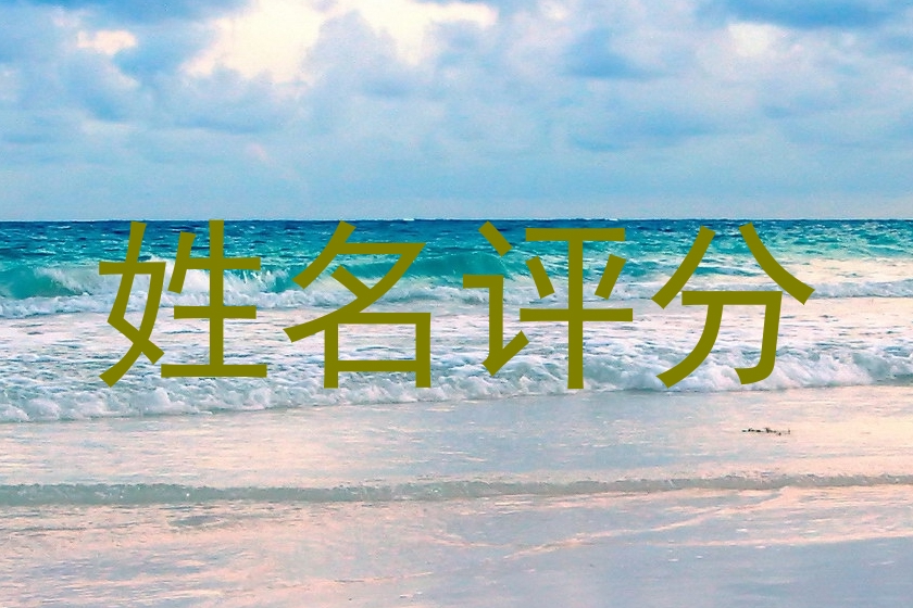 姓名评分
