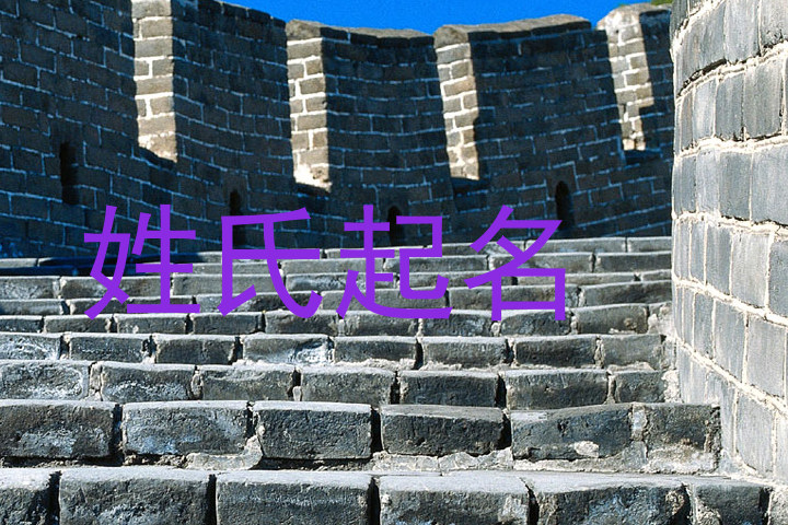 姓氏起名