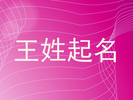 王姓起名