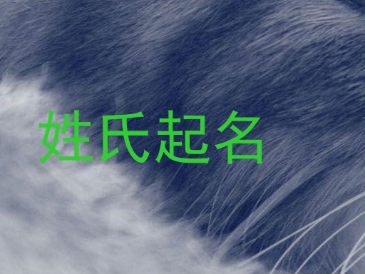 姓氏起名