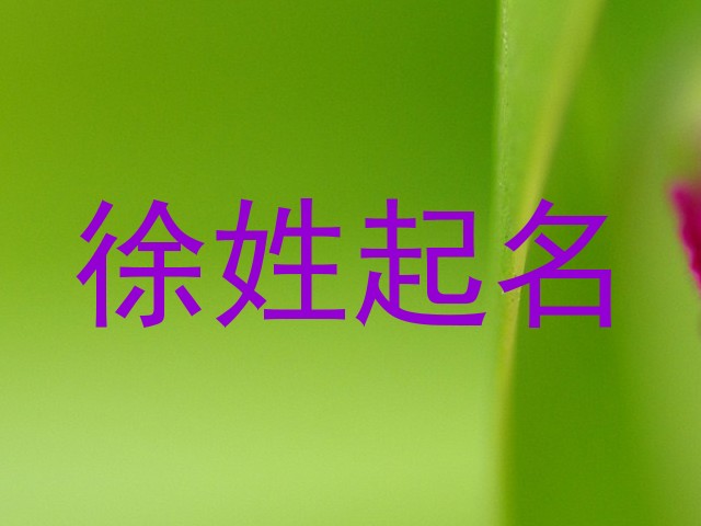 徐姓起名