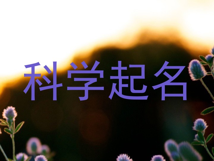 科学起名