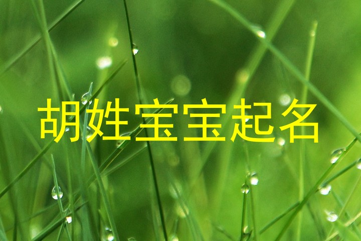 胡姓宝宝起名