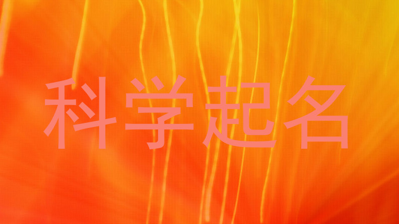 科学起名