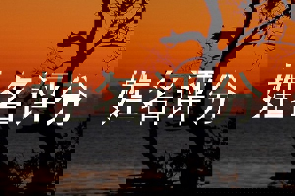 姓名评分
