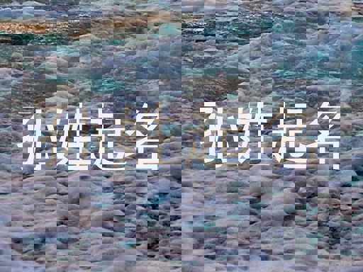 孙姓起名