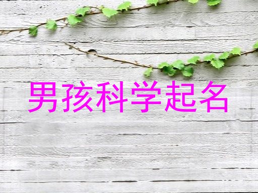 男孩科学起名