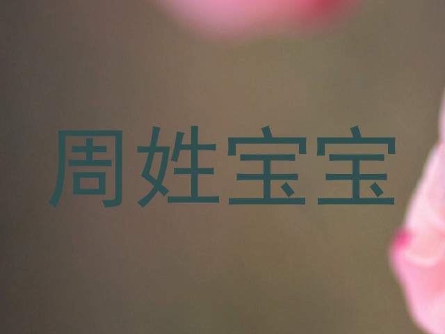 周姓宝宝