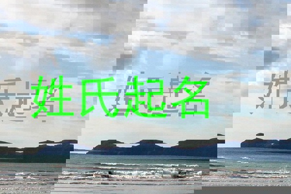 姓氏起名