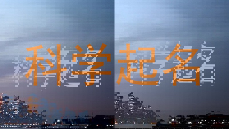 科学起名