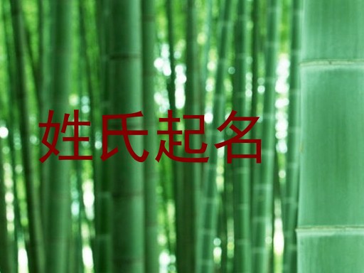 姓氏起名