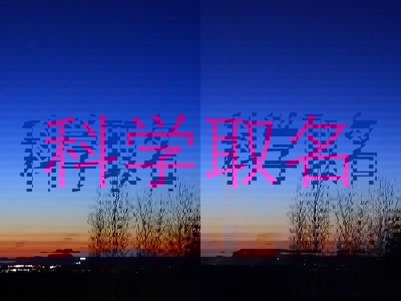 科学取名