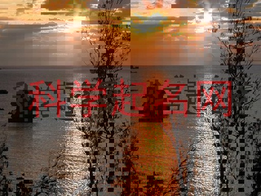 科学起名网