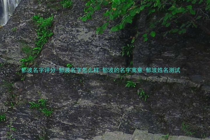 郁波名字评分-郁波名字怎么样-郁波的名字寓意-郁波姓名测试