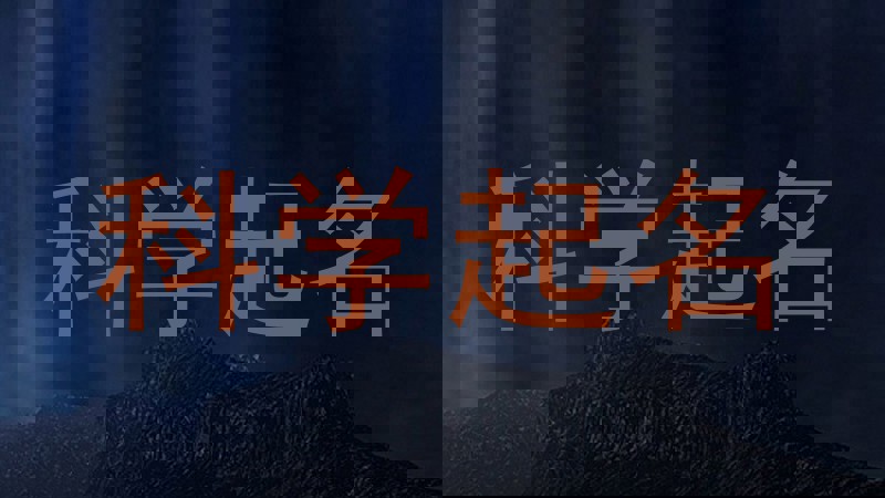 科学起名