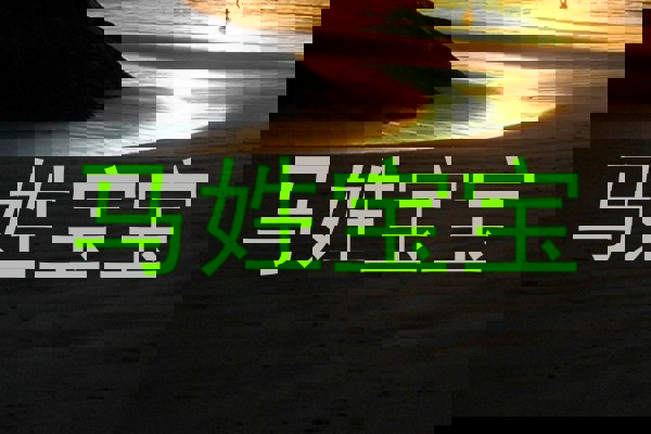 马姓宝宝