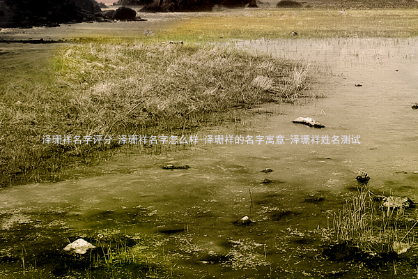 泽珊祥名字评分-泽珊祥名字怎么样-泽珊祥的名字寓意-泽珊祥姓名测试
