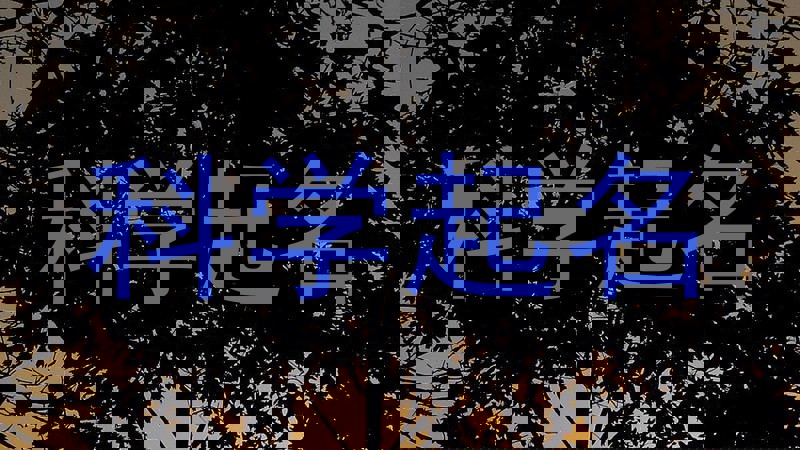 科学起名