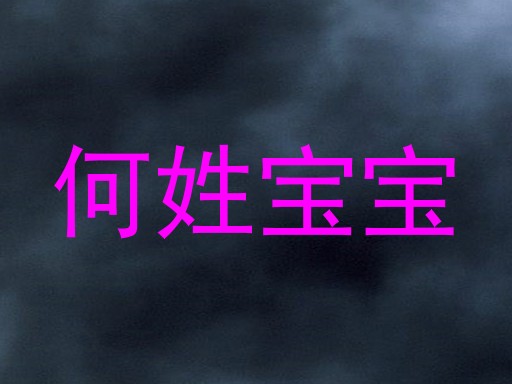何姓宝宝