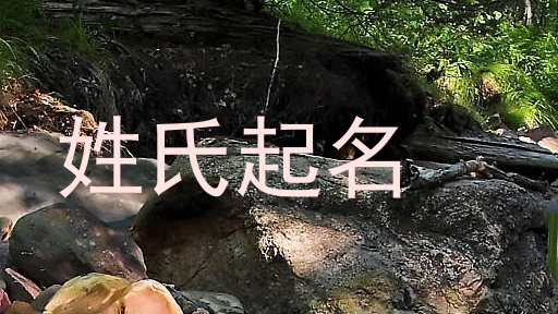 姓氏起名