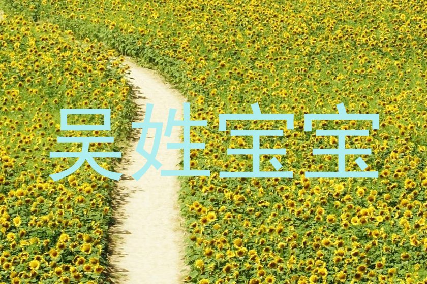 吴姓宝宝