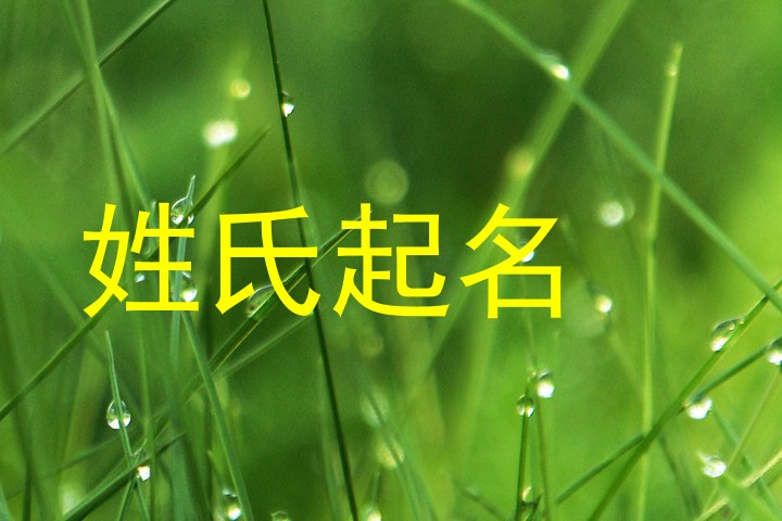 姓氏起名