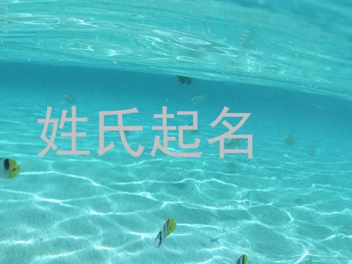 姓氏起名