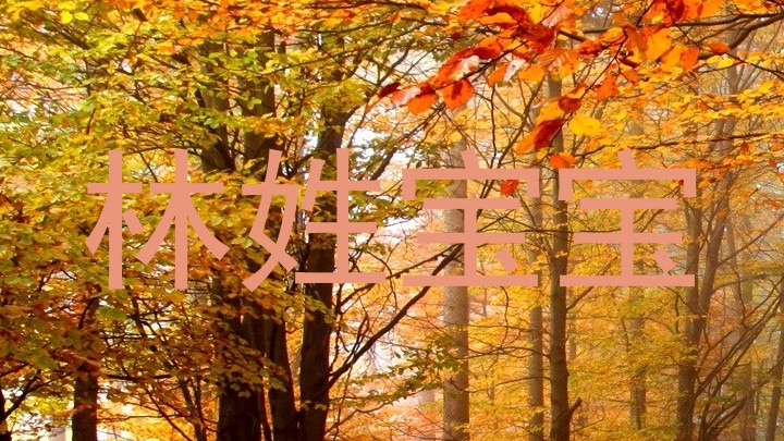 林姓宝宝