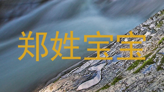 郑姓宝宝