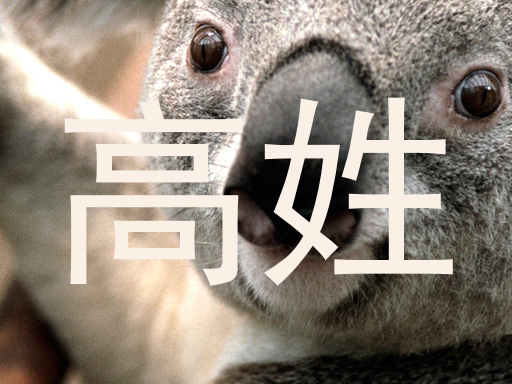 高姓