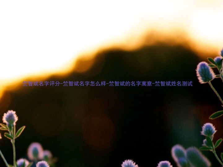竺智斌名字评分-竺智斌名字怎么样-竺智斌的名字寓意-竺智斌姓名测试