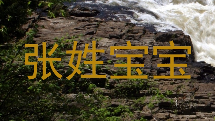 张姓宝宝