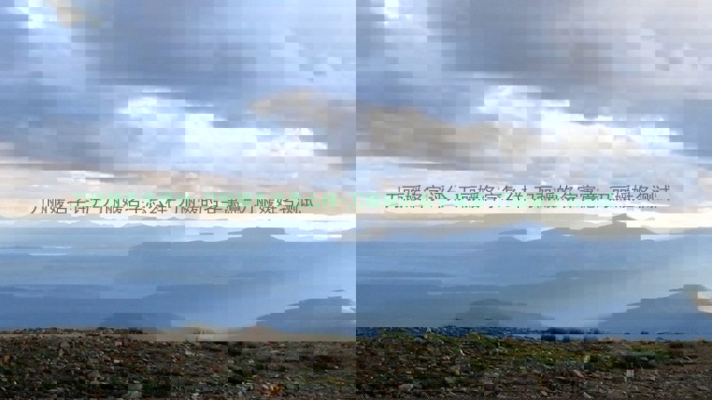 刀丽媛名字评分-刀丽媛名字怎么样-刀丽媛的名字寓意-刀丽媛姓名测试