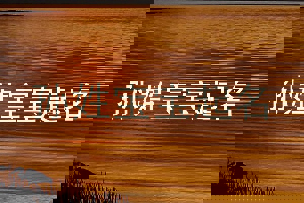 孙姓宝宝起名