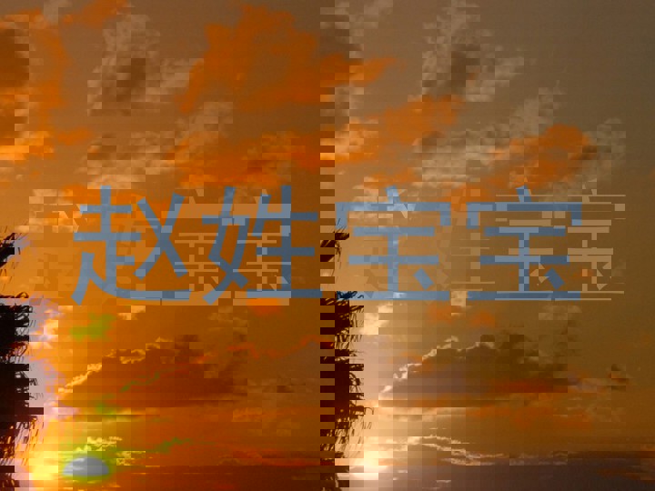 赵姓宝宝