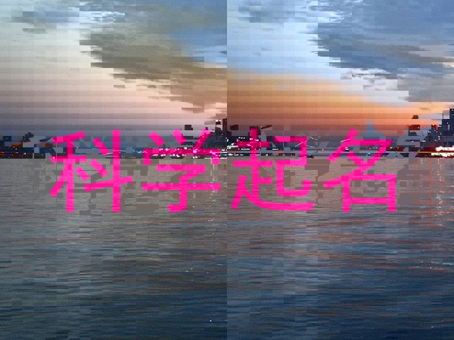 科学起名