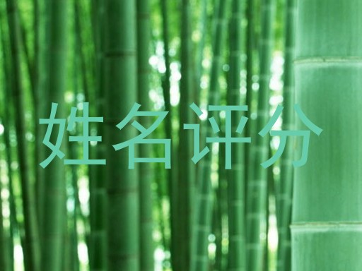 姓名评分
