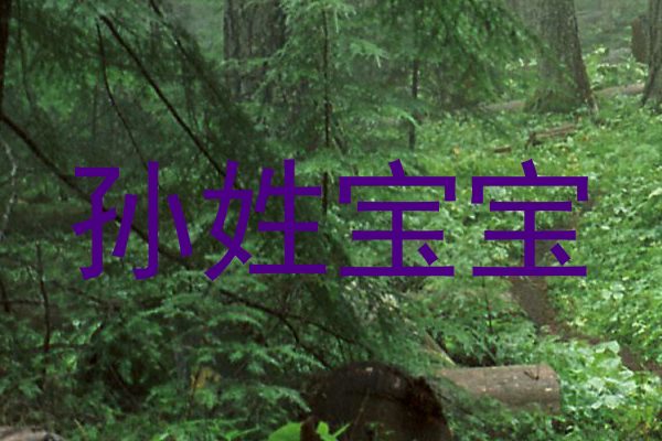 孙姓宝宝