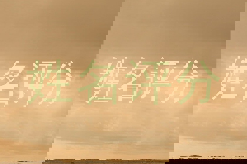 姓名评分