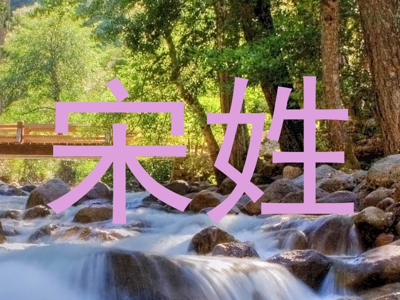 宋姓