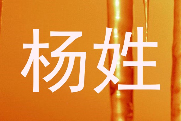 杨姓