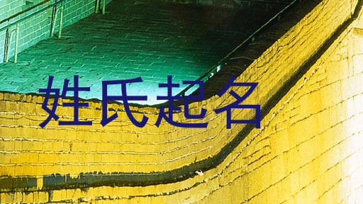姓氏起名