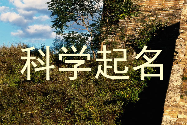 科学起名